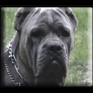 Meet your Posher, Mario